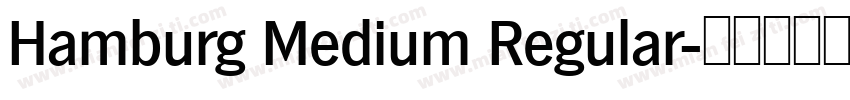 Hamburg Medium Regular字体转换